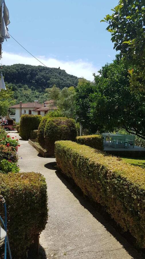 Olivista Parga
