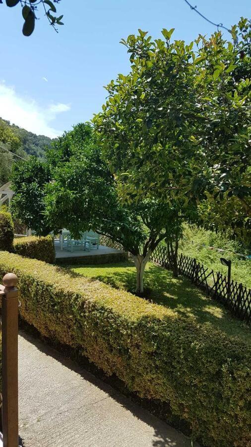 Olivista Apartment *
